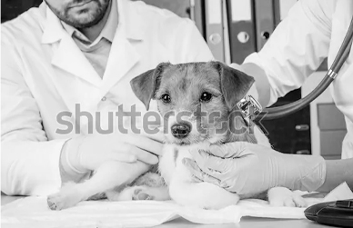Interní medicína
